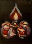 Planet Orchid
