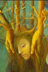 The Goodness of the Forest