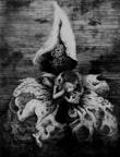5. Orchid