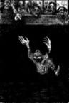 12. Judgment
