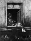 18. Window