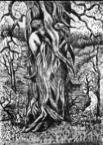 55. Hickory Lovers